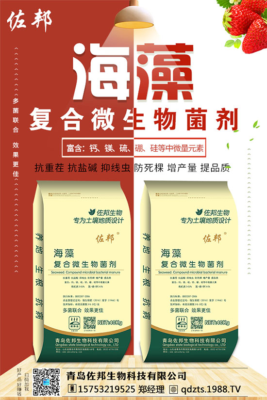 紫薯如何種植？紫薯種植方法和注意事項！