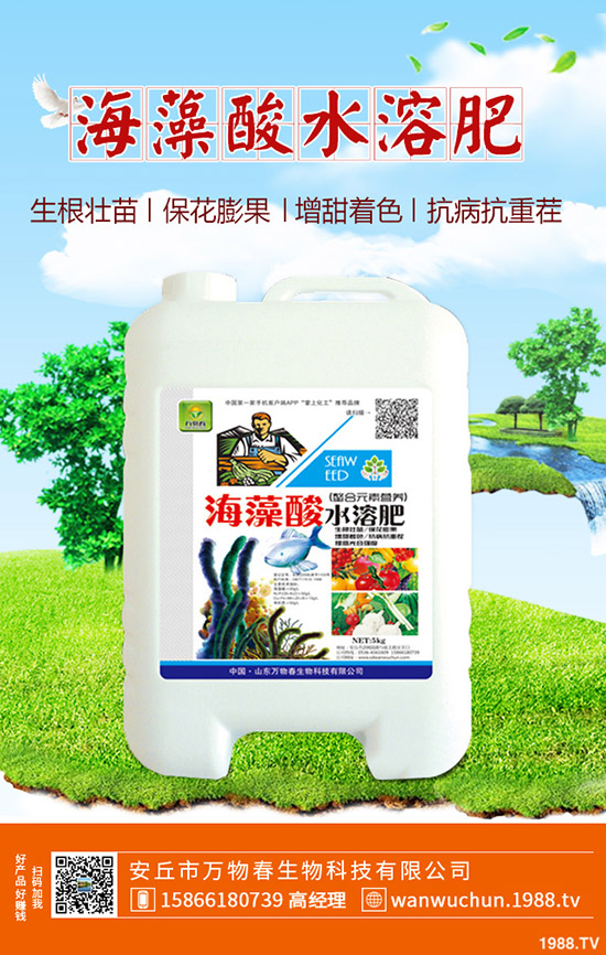 蘆薈多久澆一次水?蘆薈澆水注意事項(xiàng)!