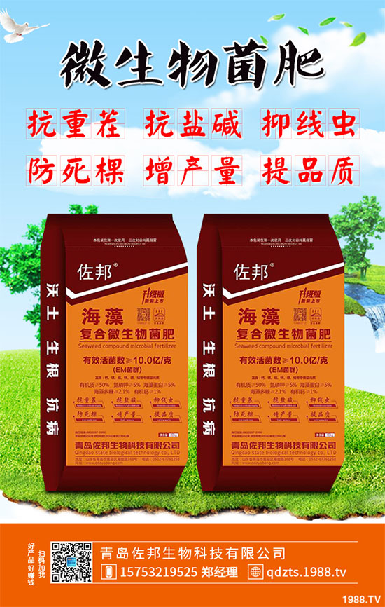 大蔥該如何施肥才能高產(chǎn)？大蔥高產(chǎn)施肥技術(shù)