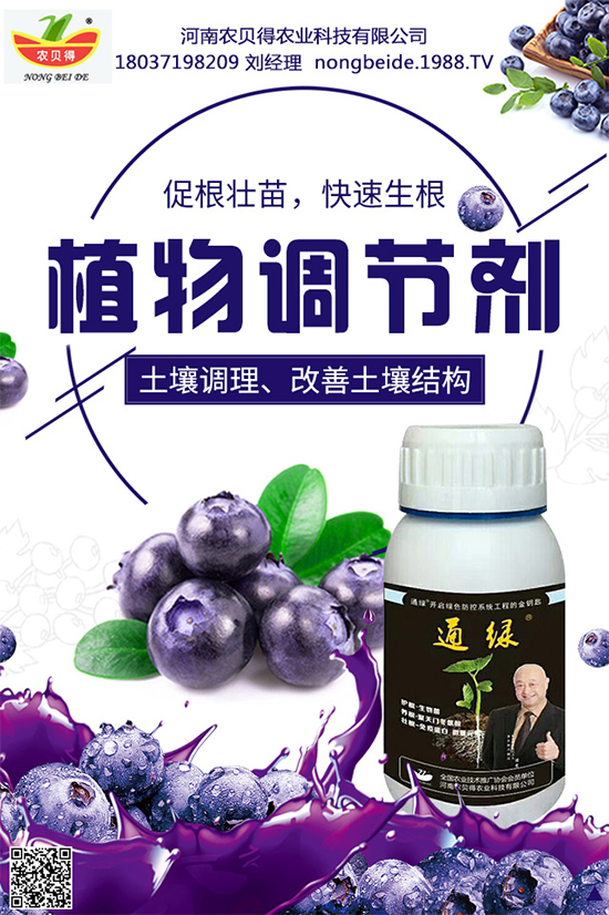大蔥該如何育苗？育苗后大蔥管理方案