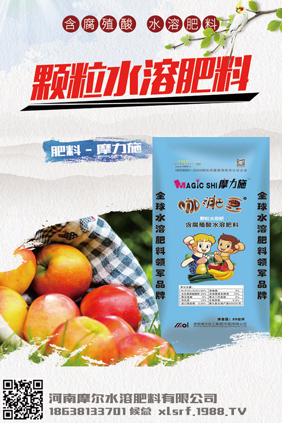 救心菜怎樣種植，救心菜的種植方法與日常管理