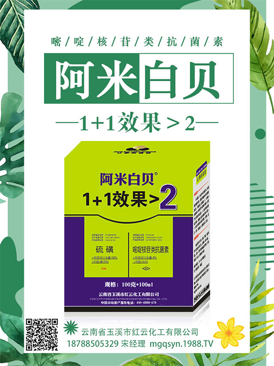 ����~