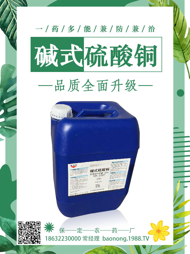 馬鈴薯病害怎么防治？馬鈴薯主要病害防治
