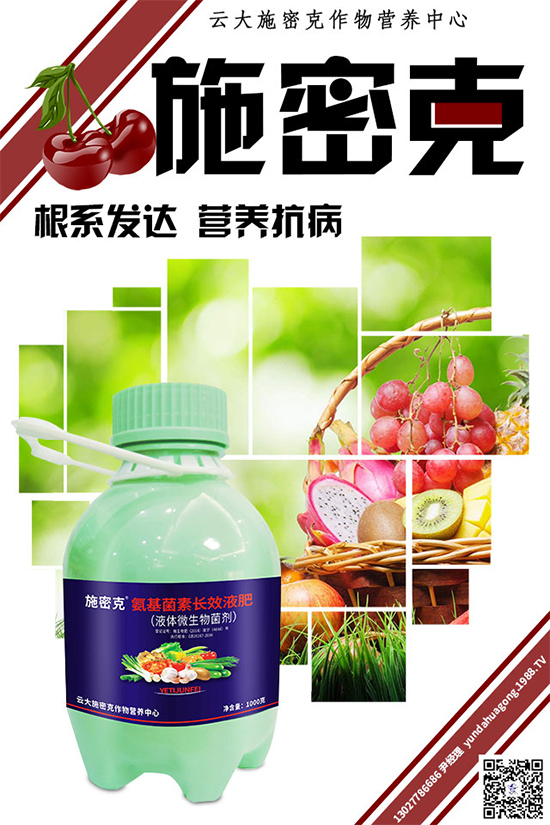 大蔥霜霉病危害巨大，到底是如何引起的？大蔥霜霉病防治措施
