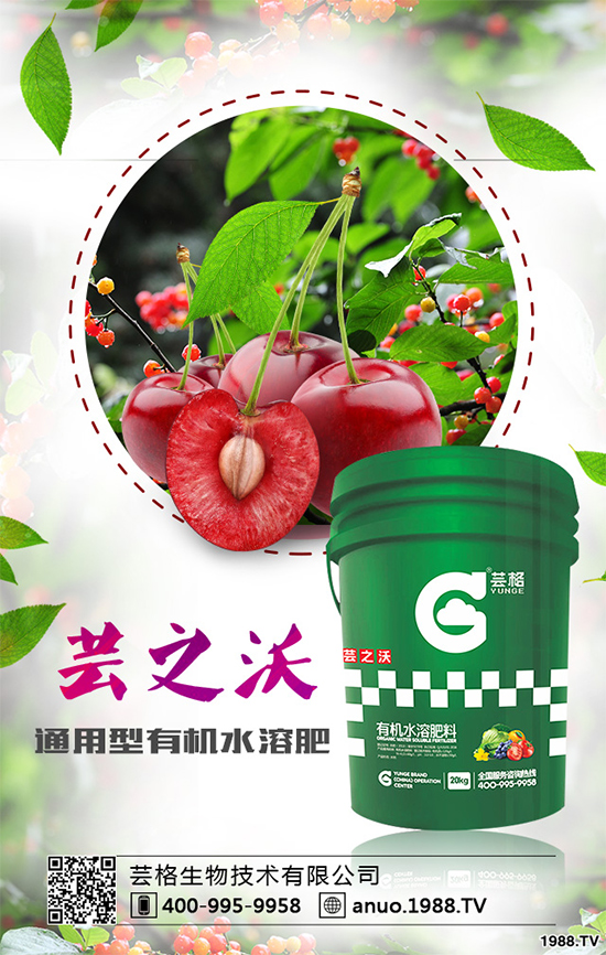 大蔥灰霉病有哪些危害？該如何防治？大蔥灰霉病防治措施