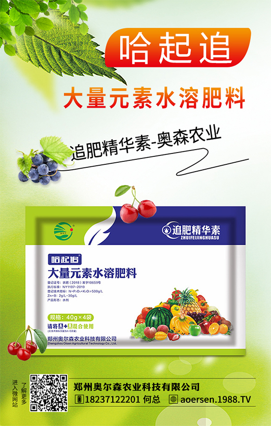 大蔥灰霉病有哪些危害？該如何防治？大蔥灰霉病防治措施