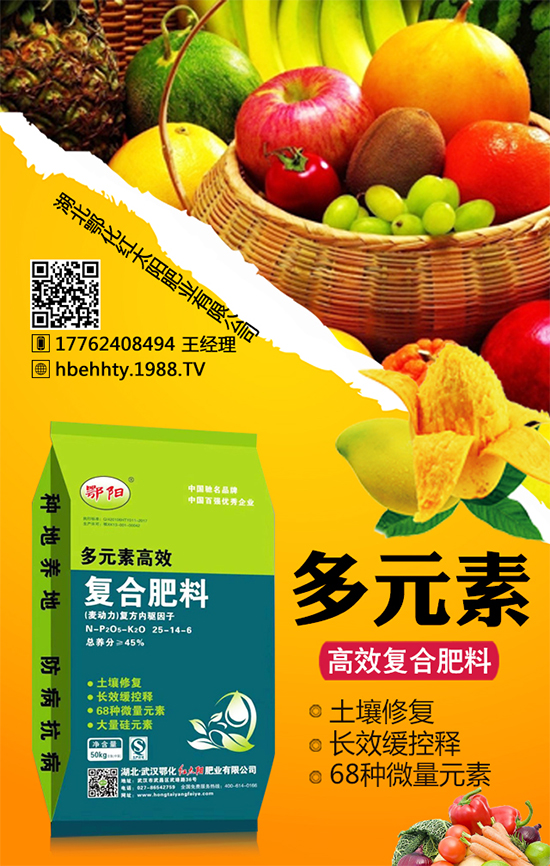 黃皮火龍果怎么種植？黃皮火龍果的種植技術(shù)！