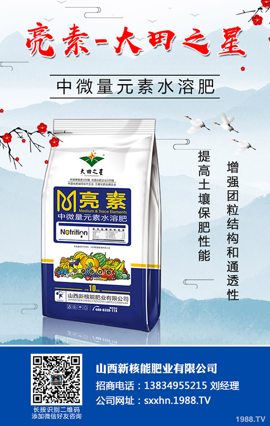 秋季蔬菜如何育苗？秋季常用的育苗的小方法及技術(shù)！