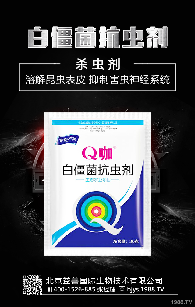 月季病蟲(chóng)害怎么防治？月季病蟲(chóng)害防治集錦