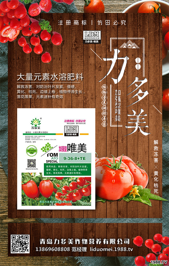 豌豆該怎么種？豌豆的播種方法及種植管理技術(shù)