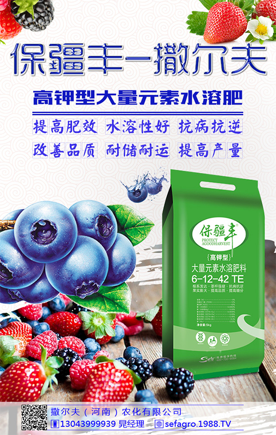 豌豆該怎么施肥?豌豆高產(chǎn)施肥技術