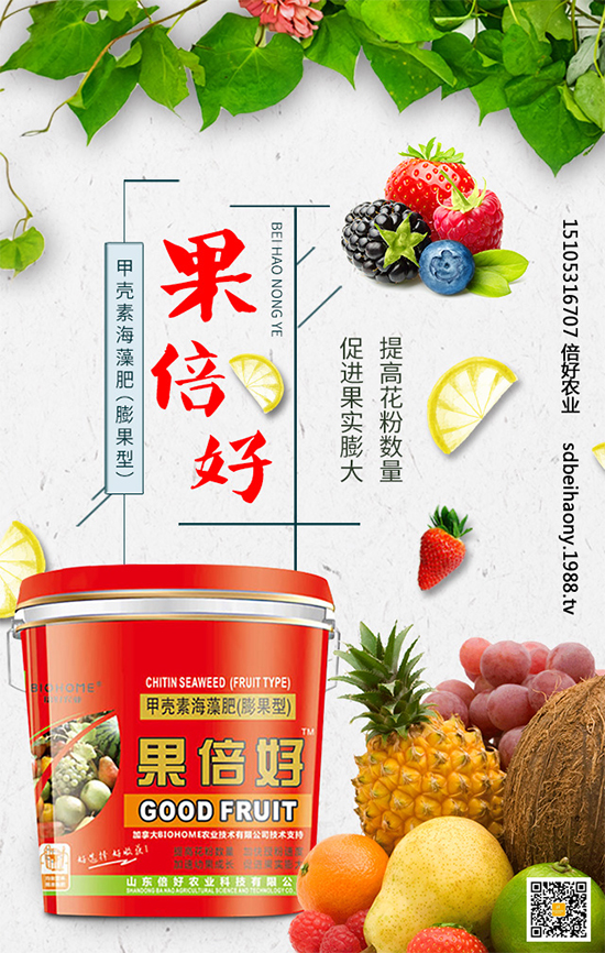 圣女果什么時(shí)間種植？圣女果種植技術(shù)要點(diǎn)有哪些？