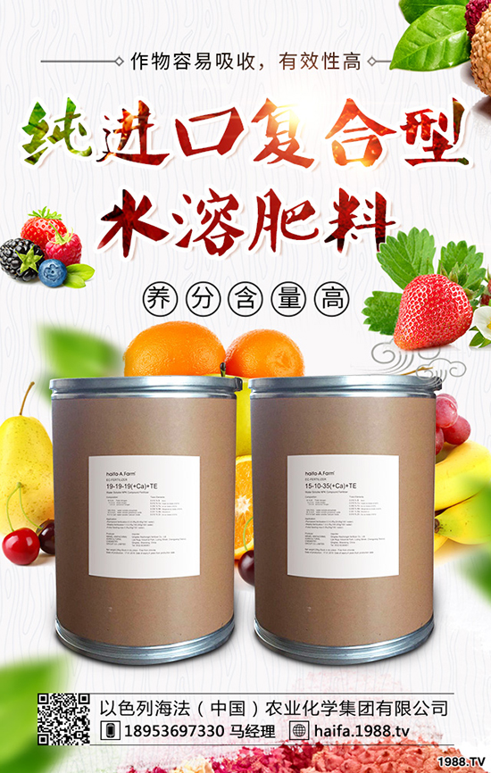 甘藍菜怎么種植,教你正確種植甘藍的辦法!