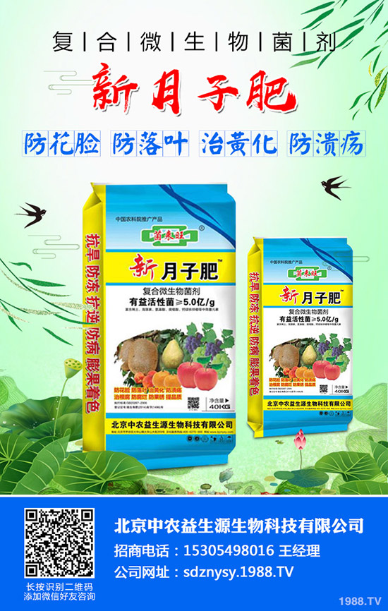 芹菜燒心、空心、葉柄開(kāi)裂什么原因？芹菜燒心防治方法有哪些？