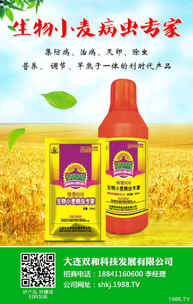 小麥病蟲害危害大！小麥苗期的病害和蟲害介紹