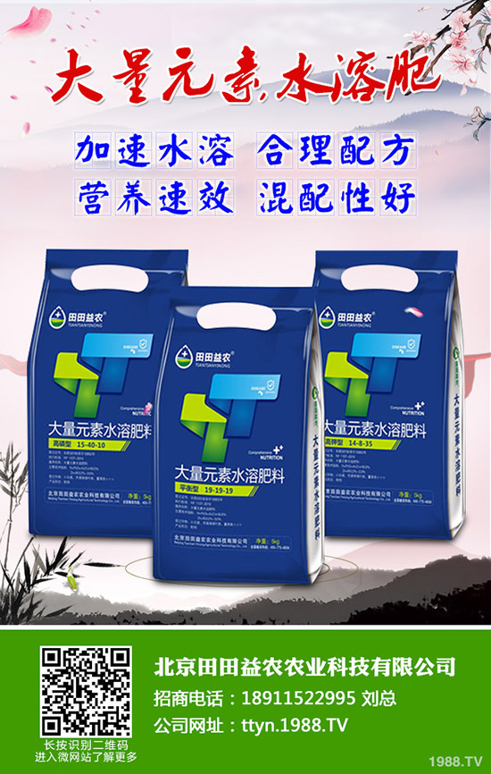 ���տ���ô�N�����տ��߮a(ch��n)�������g(sh��)����Щ��