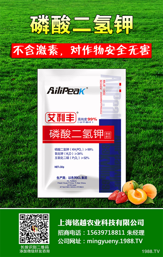 豌豆根腐病有哪些危害表現(xiàn)？該怎樣防治？豌豆根腐病防治方法