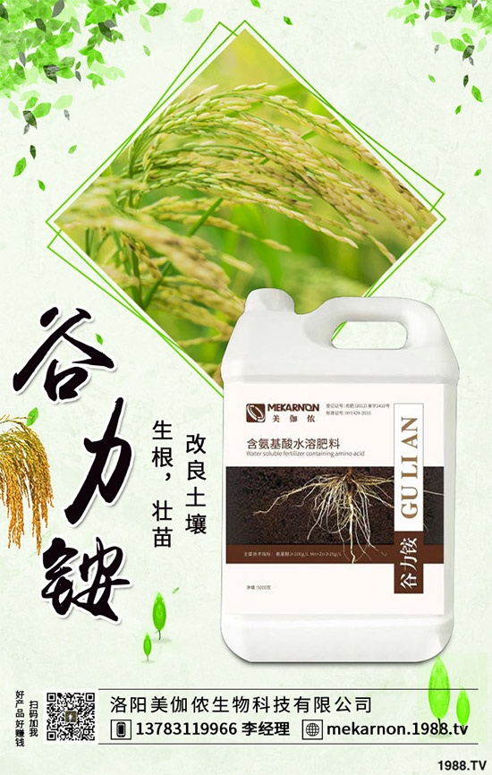茼蒿該怎么播種？茼蒿高產(chǎn)種植管理方案