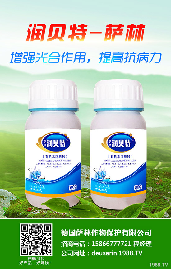 生姜的種植時(shí)間，生姜高產(chǎn)種植技術(shù)！