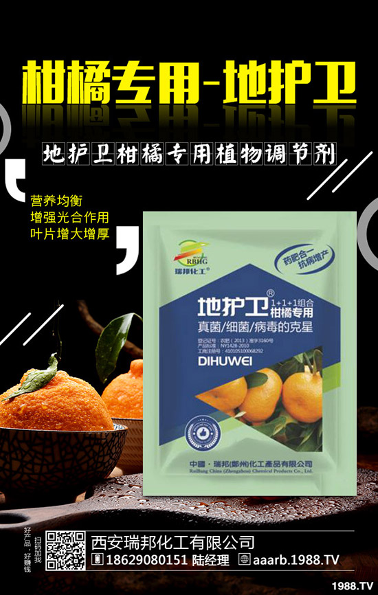 香菜種子如何催芽,香菜提高出苗率的好方法!