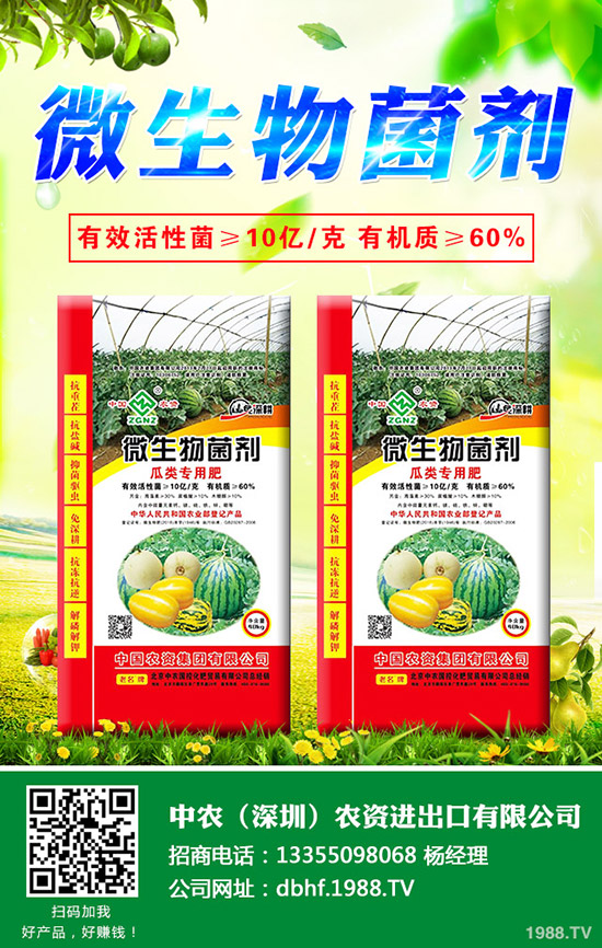 大白菜爛心是什么原因,大白菜爛心防治措施!