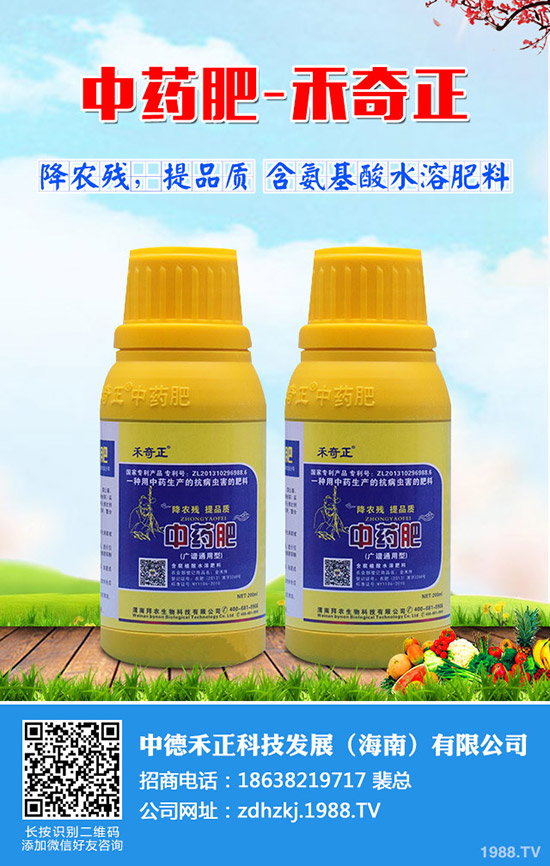 金絲瓜如何栽培,金絲瓜種植小技巧!