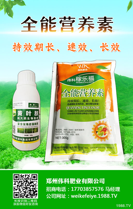 柿子樹怎么嫁接，柿子樹嫁接時(shí)間和方法！