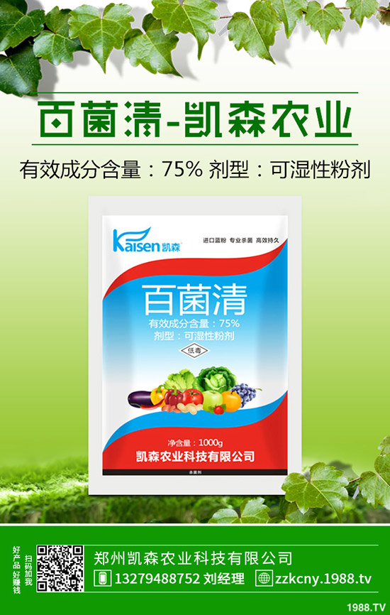 板栗樹(shù)種植后怎么管理？板栗種植的管理技術(shù)！