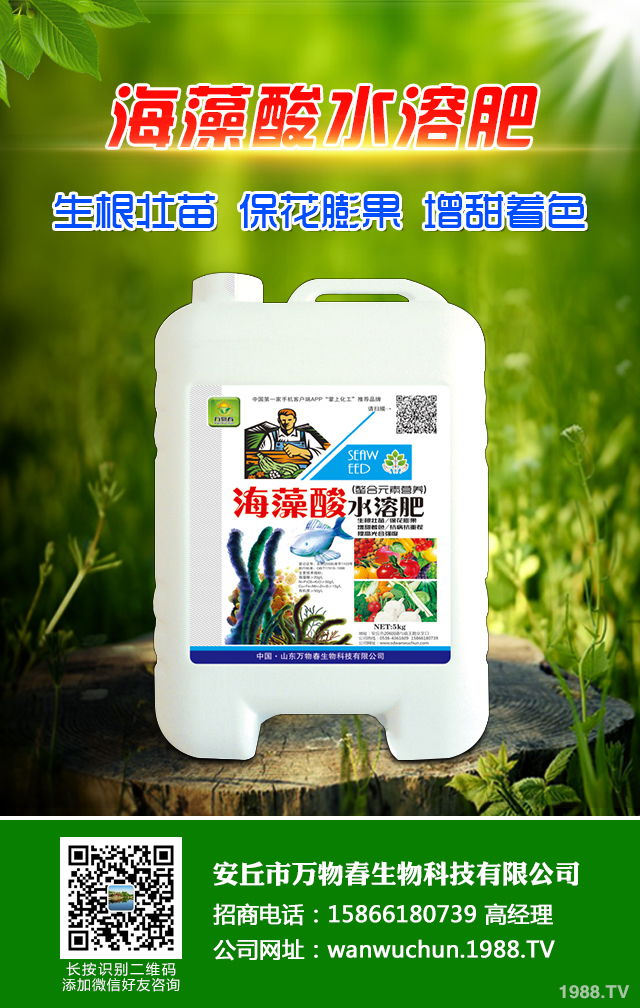 秋播小麥怎么提高質(zhì)量?秋播小麥提高質(zhì)量六要點(diǎn)