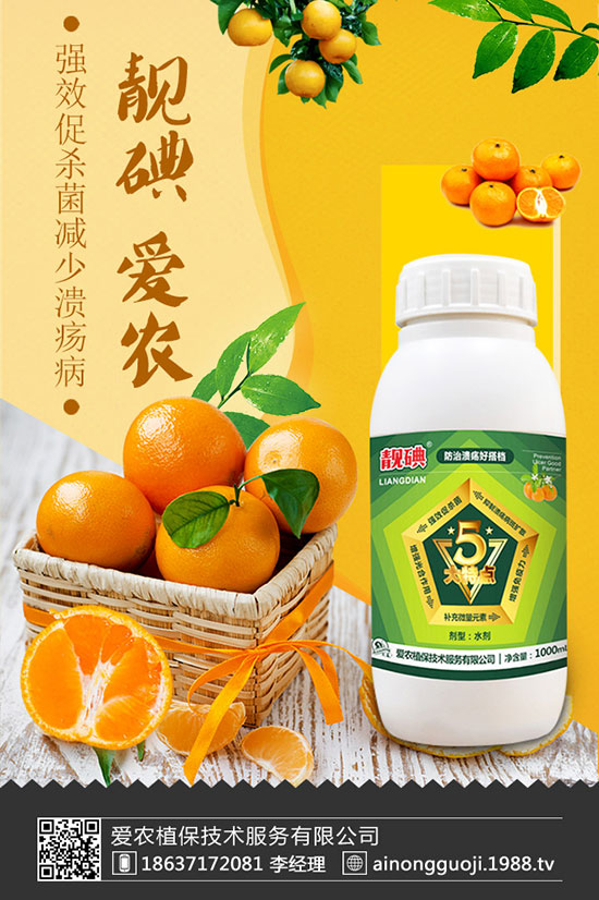 西蘭花如何種植?西蘭花種植時間及方法!