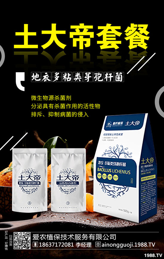 九月份可以種什么蔬菜？2019年9月蔬菜種植指南!