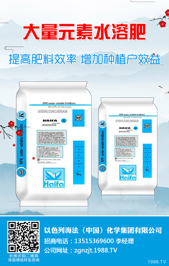     2019年9月底國內(nèi)二銨市場(chǎng)價(jià)格行情走勢(shì)分析綜合評(píng)述