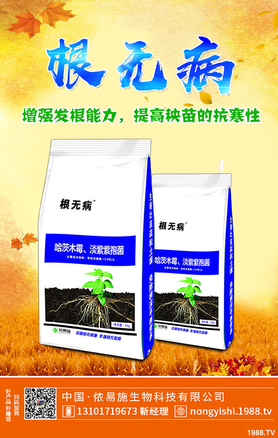     國慶節(jié)前一銨出貨壓力大！最新一銨行情走勢預測2019-9-30