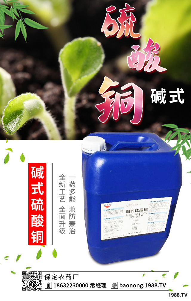 西葫蘆短粗病怎么辦？西葫蘆短粗病的成因和預(yù)防措施