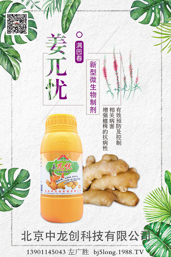 生姜施肥的方法有哪些，如何施肥才能高產？生姜施肥技巧！