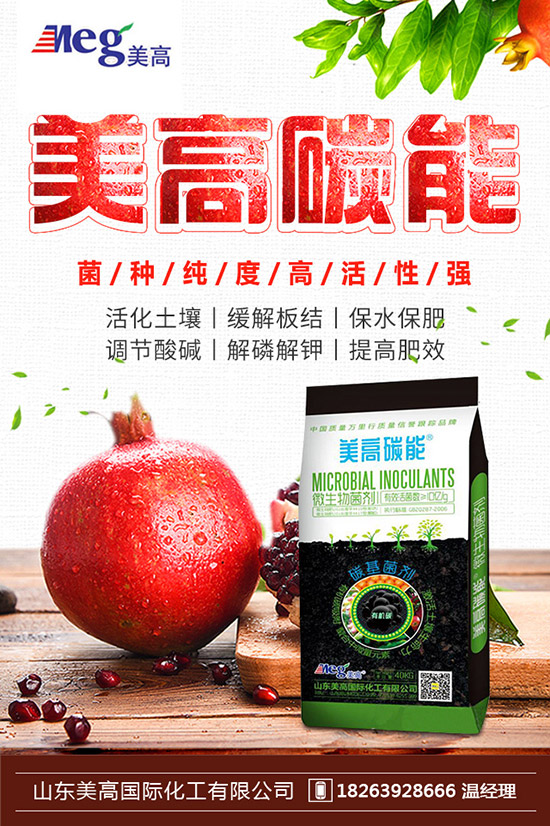 秋季家庭陽(yáng)臺(tái)種植什么蔬菜好?秋冬陽(yáng)臺(tái)種菜的方法!