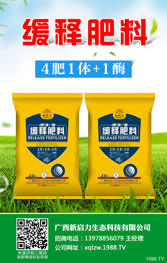 秋甘藍該怎么種植？秋甘藍高產種植技術