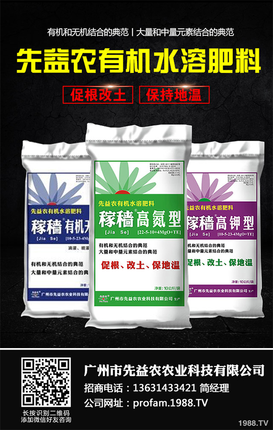 秋甘藍該怎么種植？秋甘藍高產種植技術