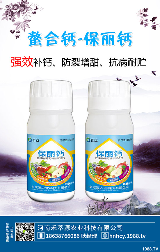 木耳菜怎么種，木耳菜種植時(shí)間和種植方法！