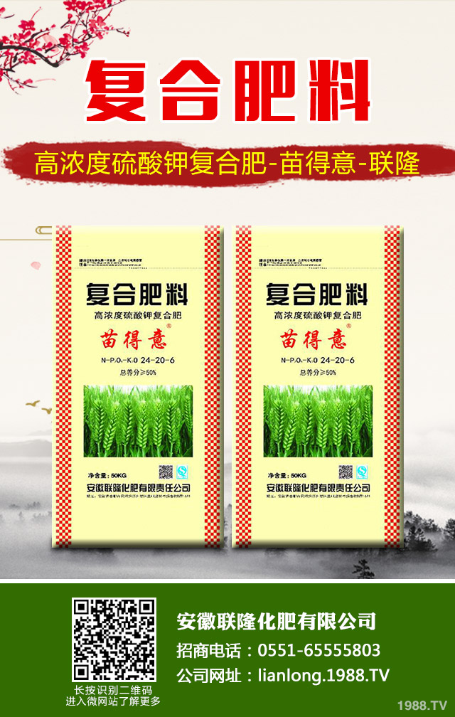 蘇鐵葉黃枯問(wèn)題怎么解決？蘇鐵葉黃枯解決方法