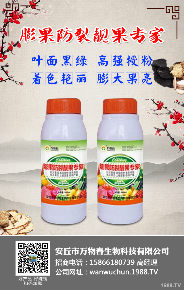 如何預(yù)防草莓畸形？草莓畸形防治技巧