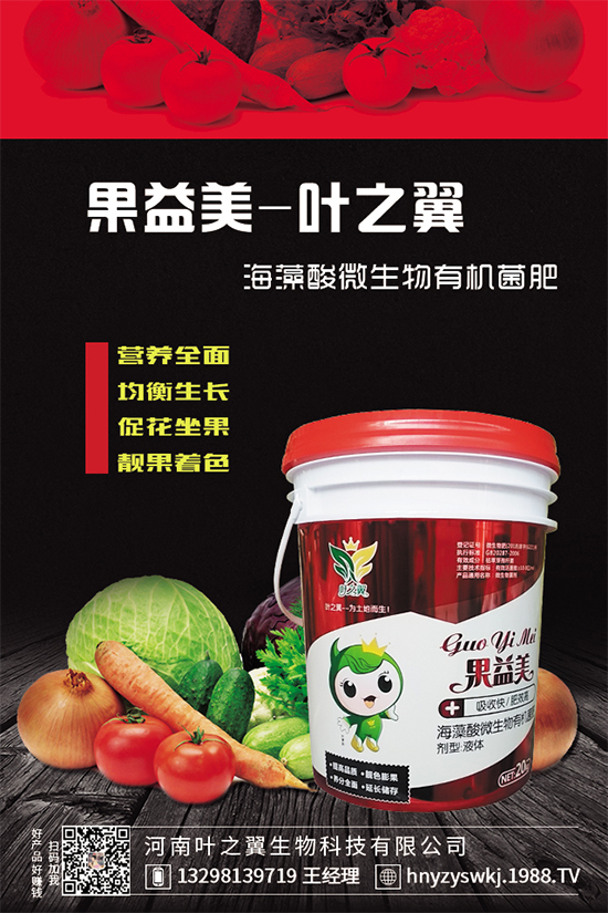 芒果樹環(huán)割的好處，給芒果樹環(huán)割需要注意什么？