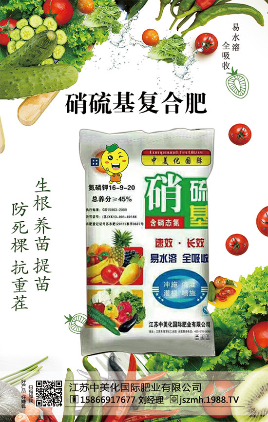 我國芒果產(chǎn)地分布在哪里？芒果種植的環(huán)境有什么要求？