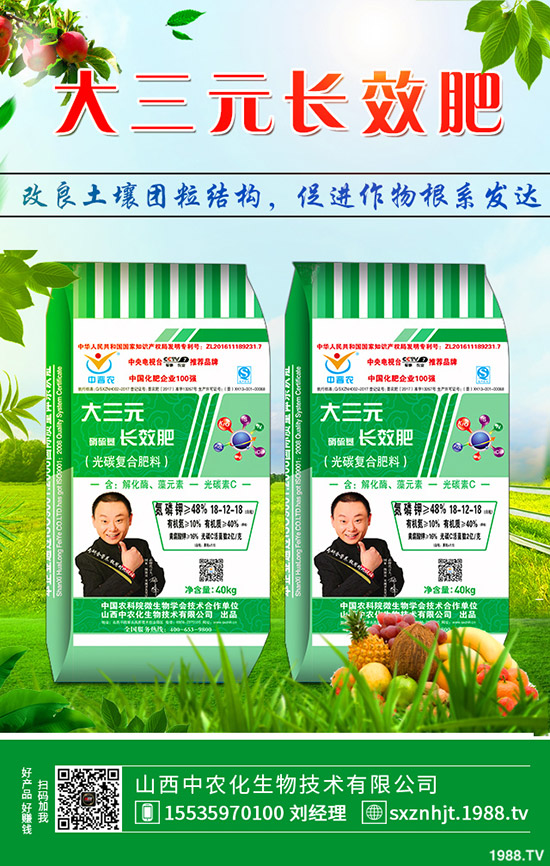     秋季大蔥如何管理？秋季大蔥種植管理方法及技術(shù)！