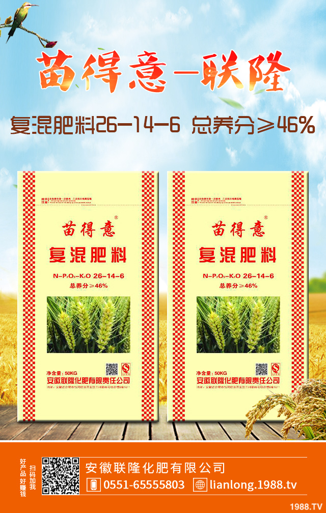 小麥常見(jiàn)弱苗如何防治？小麥弱苗防治技巧