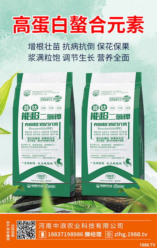 露地卷心菜什么時候種植？露地卷心菜種植技術(shù)大全