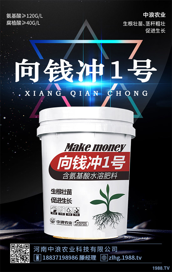 露地卷心菜什么時候種植？露地卷心菜種植技術(shù)大全