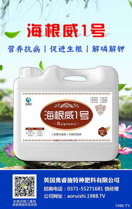 吃芋頭有哪些好處,芋頭的營養(yǎng)價(jià)值及食用禁忌!