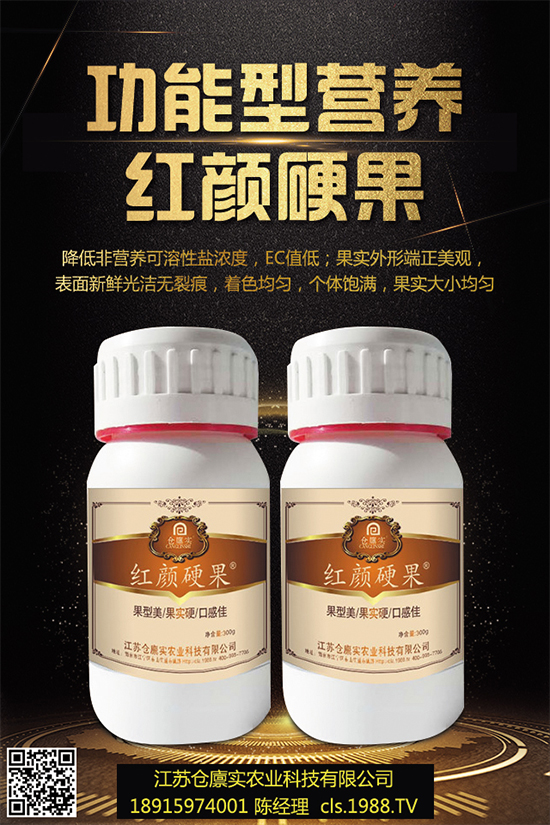 西蘭花什么時候種植？該怎么種？2019年西蘭花種植前景分析