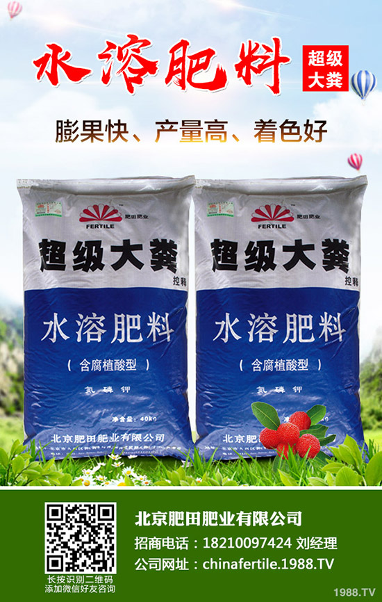 草莓得了紅中柱根腐病怎么辦？草莓紅中柱根腐病識(shí)別方法和防治！